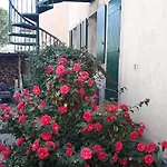 Apartamento Grau Du Roi Avec Jardin