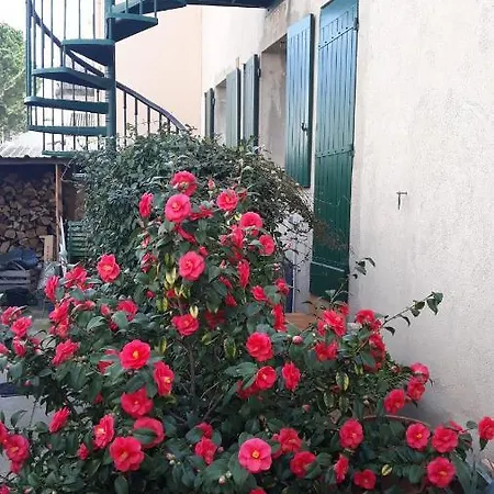 Apartmán Grau Du Roi Avec Jardin