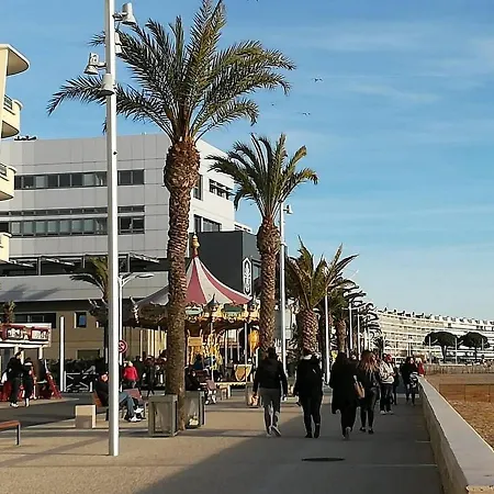 Grau Du Roi Avec Jardin *