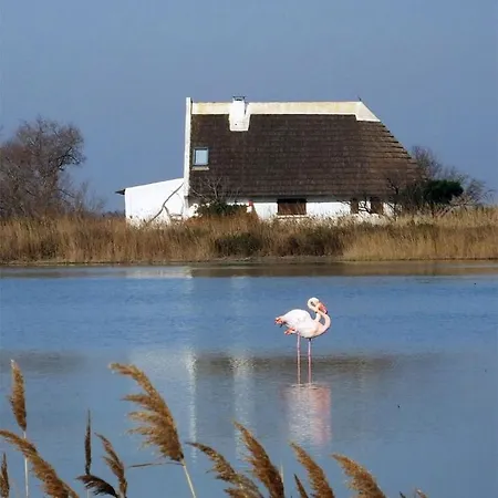 Grau Du Roi Avec Jardin Appartement
