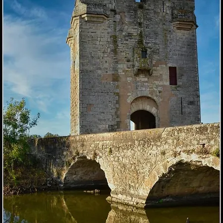 Grau Du Roi Avec Jardin *