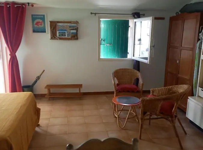 Grau Du Roi Avec Jardin *