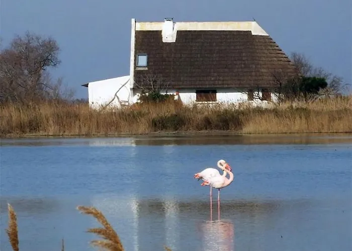 Grau Du Roi Avec Jardin Apartamento