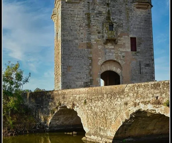 Grau Du Roi Avec Jardin *