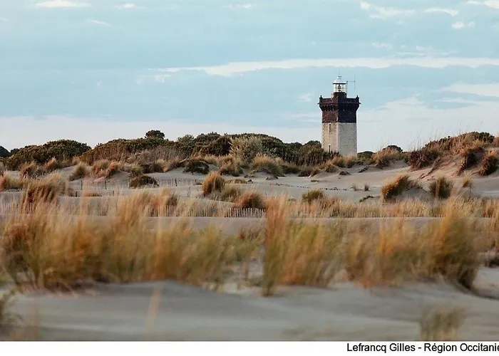 Grau Du Roi Avec Jardin *