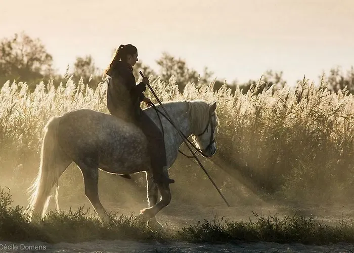 Grau Du Roi Avec Jardin